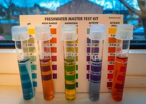 A water quality test in a residential home